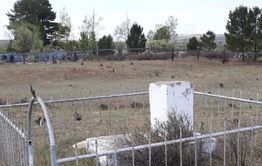 Красные партизаны в забвении