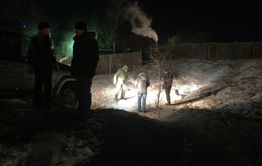 Александр Бастрыкин поручил передать уголовное дело о загрызенной собаками девочке в Главное следственное управление СК России