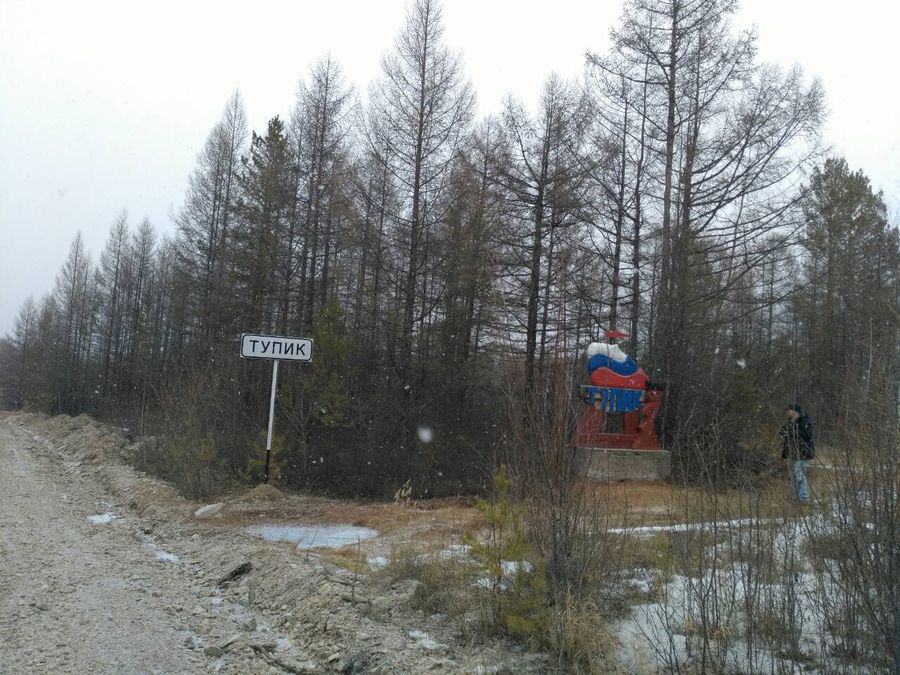 В Тунгиро-Олекминском районе не осталось оленей