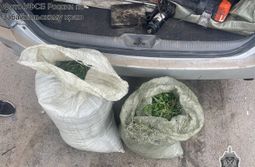 Забайкалец организовал канал поставок наркотиков в Читу