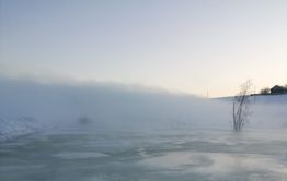Курлыч затопили грунтовые воды (Фото и видео)