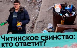 Вечорка ТВ: Читинское свинство: кто ответит?