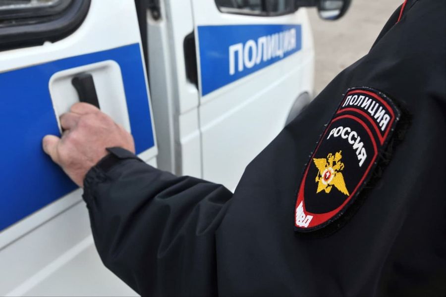Полицейские в Кручине поздно приехали на вызов многодетной матери