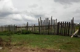 Новоборзинское: афтершоки артобстрела