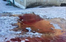 Из септика больницы в Могоче текут багровые реки. Прокуратура начала проверку.