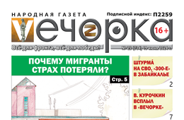 Год в обложках «Вечорки»