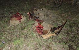 В Забайкалье поймали браконьера, когда тот вернулся за разделанной добычей 