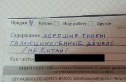 Каких только чудаков не заносит к нам в редак...