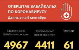 Число заражений коронавирусом в Забайкалье за сутки выросло на 45. Зафиксирован еще один летальный случай.
