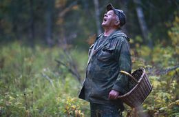 МЧС напоминают, как не заблудиться в лесу