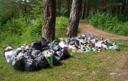 В Дровяной нет бани, а лес вокруг поселка завалили мусором