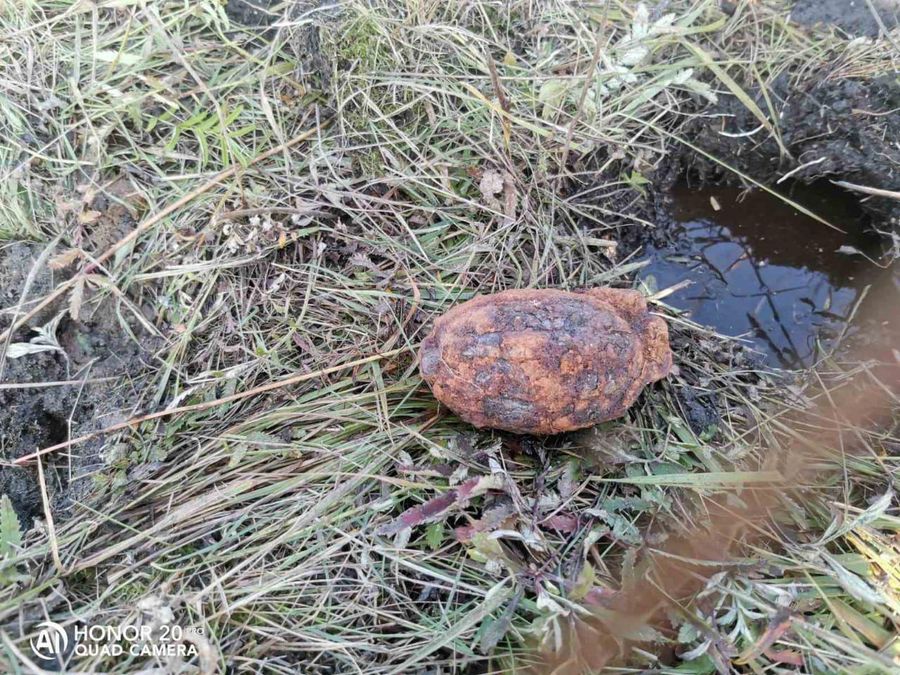 Гранату нашли на сенокосе в селе под Читой