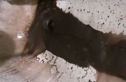 Жители Горного пожаловались на черную воду из крана 