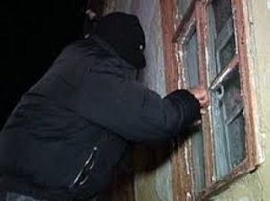 Дачный воришка пойман