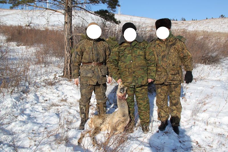 «Вечорка» № 17: кто из прокуроров устроил «царскую» охоту в заповедном Алханае