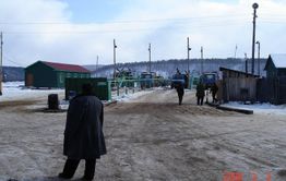 ​Китайская компания отказалась от создания Амазарского целлюлозно-бумажного комплекса в Забайкалье