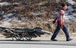 Забайкалец поджег лес, чтоб собрать горельник