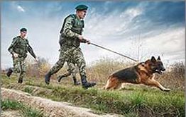 Границу России с Монголией теперь надежно охраняют казаки с собаками