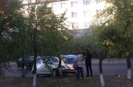 Иномарка и грузовичок врезались в дерево в центре Читы