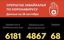 Более 80 человек заболели коронавирусом за сутки в Забайкалье 