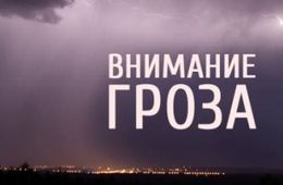 Дожди и грозы ожидаются в Чите 30 июня