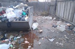 Помойка на Амурской - эпицентр будущей эпидемии