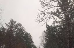 Первый снег припорошил дорогу в Читинском рай...