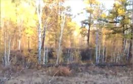 Охотник отревел