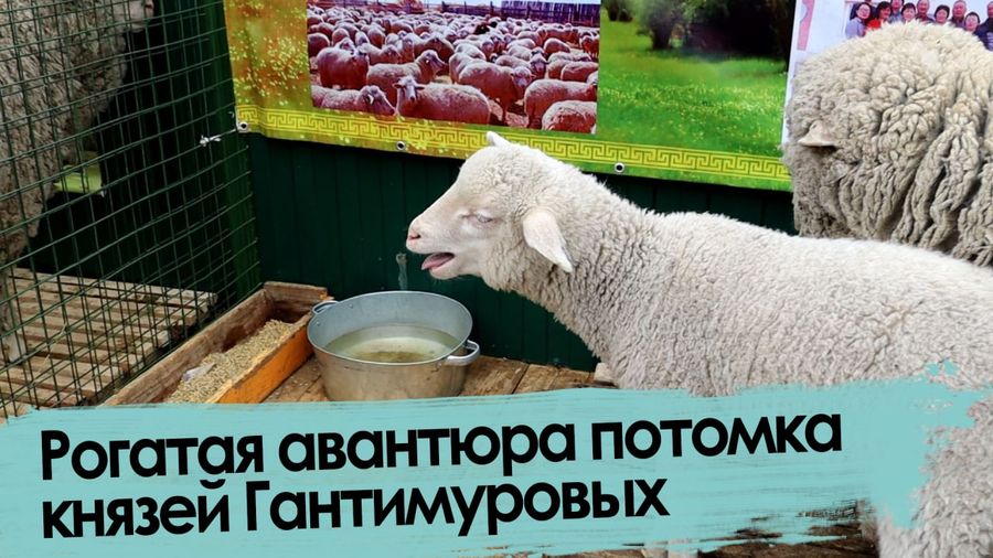 Рогатая авантюра потомка князей Гантимуровых