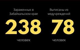 Число зараженных коронавирусом в Забайкалье за сутки выросло на 23. Общее число - 238