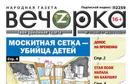«Вечорка», №35: Москитная сетка — убийца детей