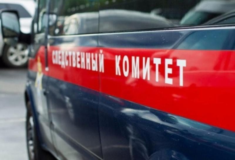 Следователи начали проверять сообщения СМИ об избиении ребёнка судьёй