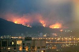 Дождь, пожары и невнятные оправдания вице-премьера Чупина