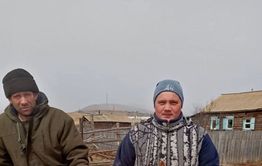 Нескольких лошадей спасли в Оловяннинском районе