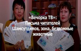 Вечорка ТВ: Письма читателей - Шамсутдинов, зона, бездомные животные
