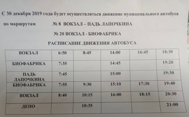 ​Автобусы на Биофабрику и в Падь Лапочкина запустили перед новым годом в Чите