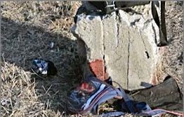 Домашние собаки угрожают детям в Парке Пионеров