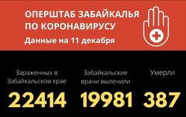 Восемь забайкальцев скончались от коронавируса за сутки