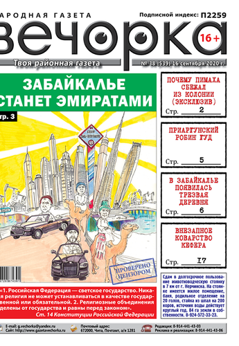 Вечорка №38