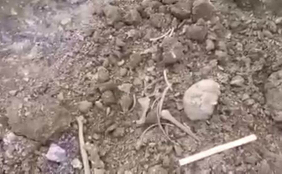 Останки древнего человека нашли на месте стройки в Сретенском районе