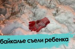 Собаки загрызли 7-летнюю девочку в селе под Читой