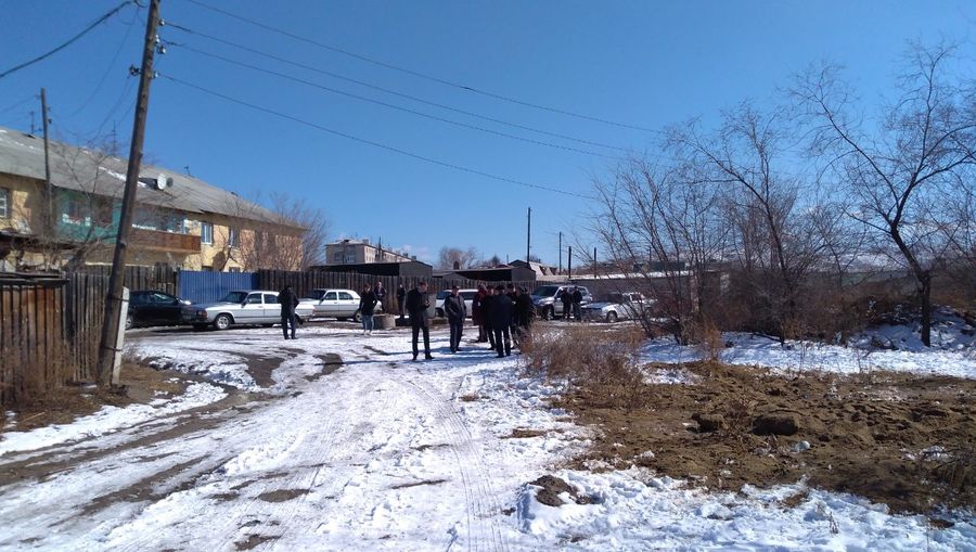Чиновники убрали мусор и убили собак около дома многодетной матери, ждущей Осипова в гости