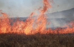 Пожарные Забайкалпожспаса за сутки спасли от огня три чабанские стоянки