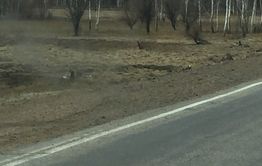 Лес вспыхнул из-за брошенного окурка в Забайкалье 