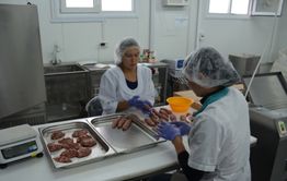 Девять новых сельхозкооперативов появились в Забайкалье в 2023 году