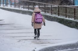 Школьница, которая пропал в Засопке, найдена живой