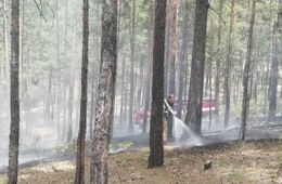 Жители Атамановки отстояли свой поселок и лес от пожара