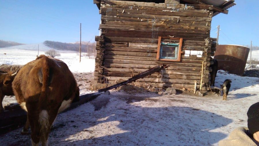 Жители Чикичея пьют воду с мышьяком!