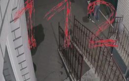 Видео убийства женщины в Царском попало на камеры (18+)
