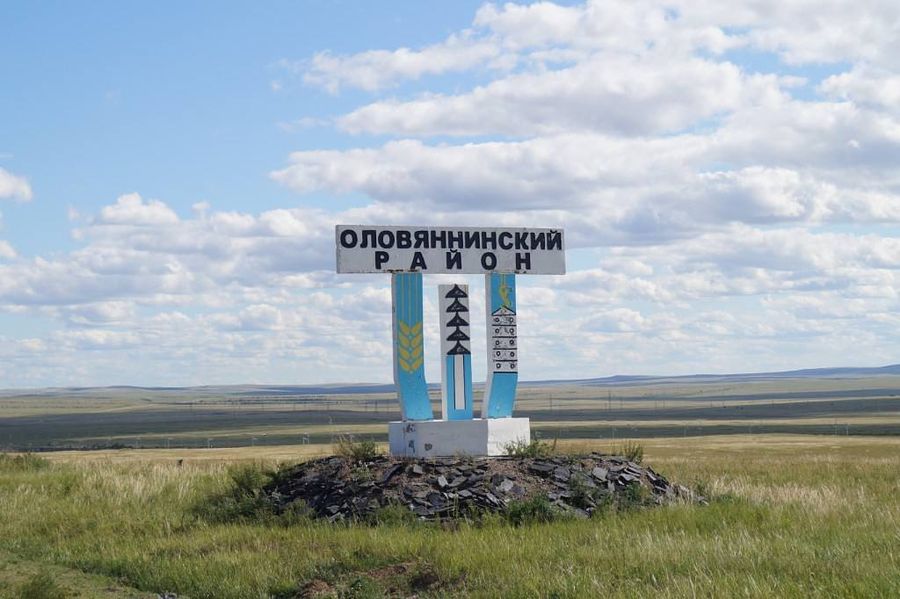 Стая собак напала на ребёнка в Забайкалье. Следователи начали проверку.
